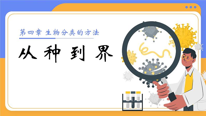 2.4.2 从种到界（教学设计（表格式）+课件）---2024-2025学年人教版（2024）生物七年级上册01