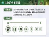 2.4.2 从种到界（教学设计（表格式）+课件）---2024-2025学年人教版（2024）生物七年级上册
