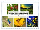 开学第一课---致同学们课件(内嵌视频1个) ---2024-2025学年人教版（2024）生物七年级上册