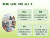 开学第一课---致同学们课件--2024-2025学年人教版（2024）生物七年级上册