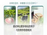 开学第一课课件--2024-2025学年人教版（2024）生物七年级上册