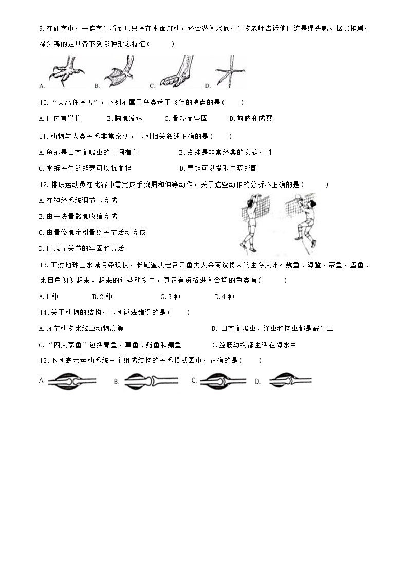 广西南宁市第十四中学2024-2025学年八年级上学期10月月考生物试题第2页