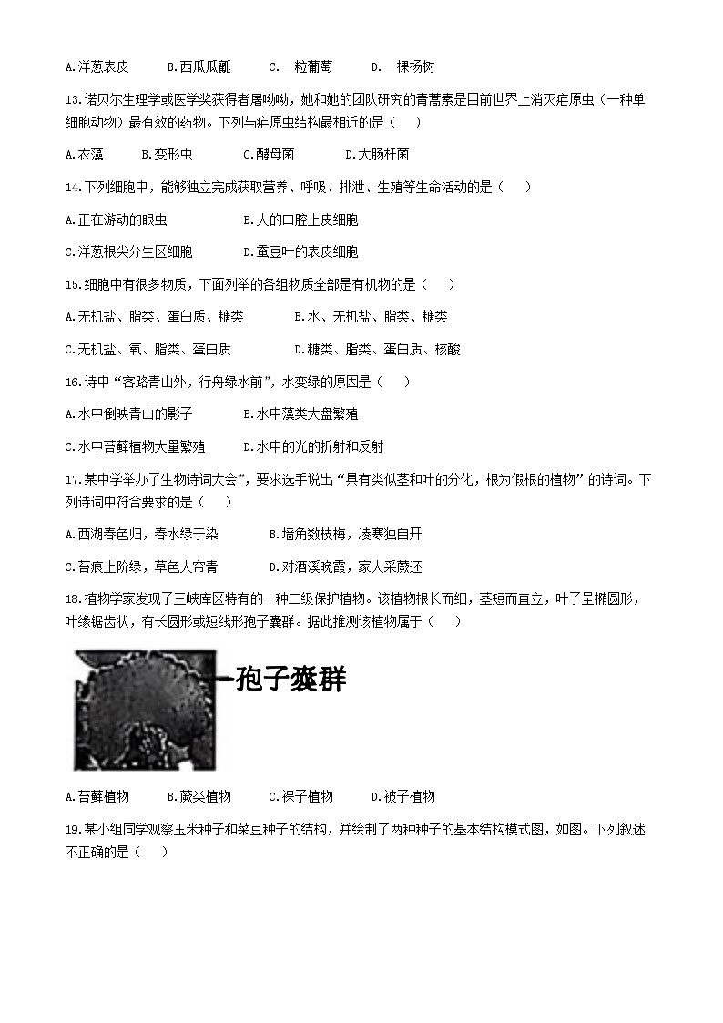 吉林省松原市前郭县北部学区2024-2025学年七年级上学期期中测试生物试卷第3页