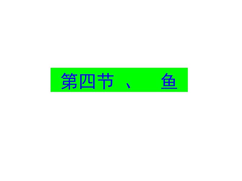 2024---2025学年度人教版八年级上册生物5.1.4鱼类 课件01