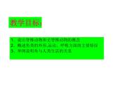 2024---2025学年度人教版八年级上册生物5.1.4鱼类 课件