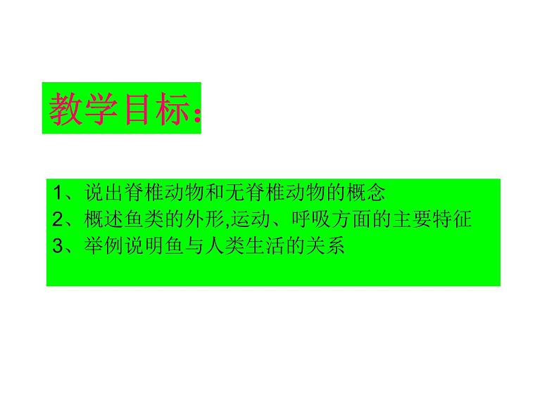 2024---2025学年度人教版八年级上册生物5.1.4鱼类 课件02