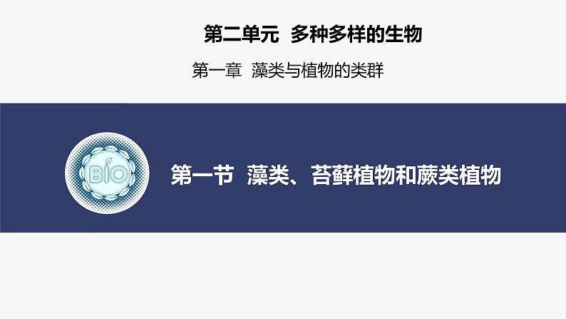 2.1.1 藻类、苔藓植物和蕨类植物课件2024-2025学年人教版（2024）生物七年级上册01