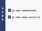 2.1.1 藻类、苔藓植物和蕨类植物课件2024-2025学年人教版（2024）生物七年级上册