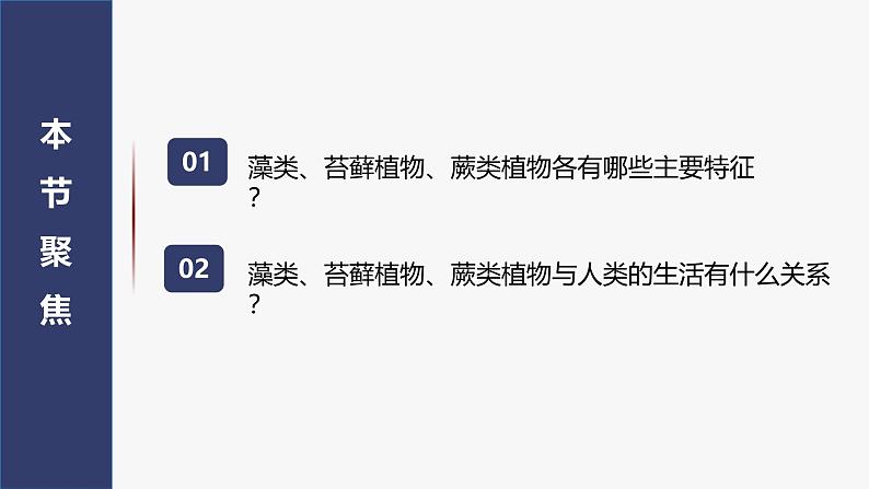 2.1.1 藻类、苔藓植物和蕨类植物课件2024-2025学年人教版（2024）生物七年级上册02