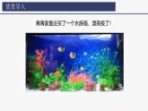 2.1.1 藻类、苔藓植物和蕨类植物课件2024-2025学年人教版（2024）生物七年级上册