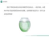 2.1.1 藻类、苔藓植物和蕨类植物 课件--2024-2025学年人教版（2024）生物七年级上册