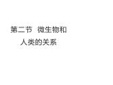 2.5.2  微生物与人类的关系  课件---2024-2025学年苏教版（2024版）七年级生物上册