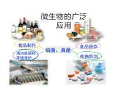 2.5.2  微生物与人类的关系  课件---2024-2025学年苏教版（2024版）七年级生物上册