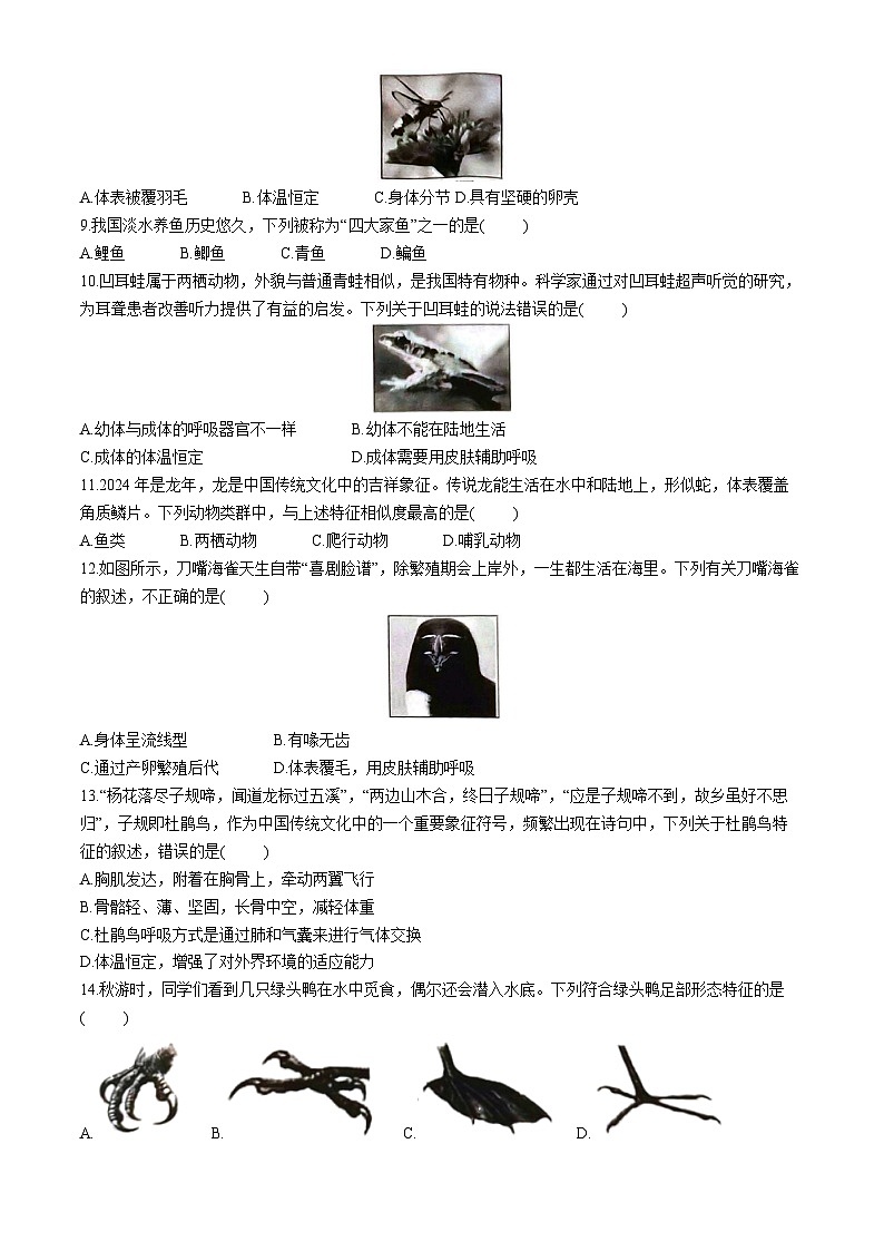 安徽省亳州市利辛县利辛中学2024-2025学年八年级上学期10月月考生物试题(无答案)第2页
