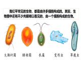 人教版七年级生物上学期（2024）1.3.4《单细胞生物》课件