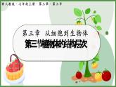 人教版生物七年级上册1.3.3《植物体的结构层次》（课件）
