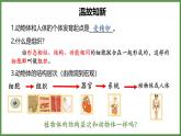 人教版生物七年级上册1.3.3《植物体的结构层次》（课件）