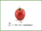 人教版生物七年级上册1.3.3《植物体的结构层次》（课件）