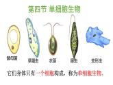 人教版生物七年级上册1.3.4《单细胞生物》教学课件