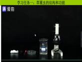 人教版生物七年级上册1.3.4《单细胞生物》教学课件