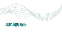 初中生物人教版(2024)七年级上册(2024)第二节 脊椎动物备课课件ppt