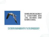 人教版生物七年级上册2.2.2《脊椎动物（鸟和哺乳动物）》课件
