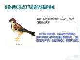 人教版生物七年级上册2.2.2《脊椎动物（鸟和哺乳动物）》课件