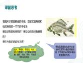 人教版生物七年级上册2.2.2《脊椎动物（鱼）》课件