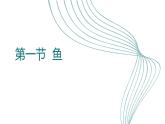 人教版生物七年级上册2.2.2《脊椎动物（鱼）》课件