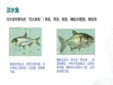 人教版生物七年级上册2.2.2《脊椎动物（鱼）》课件