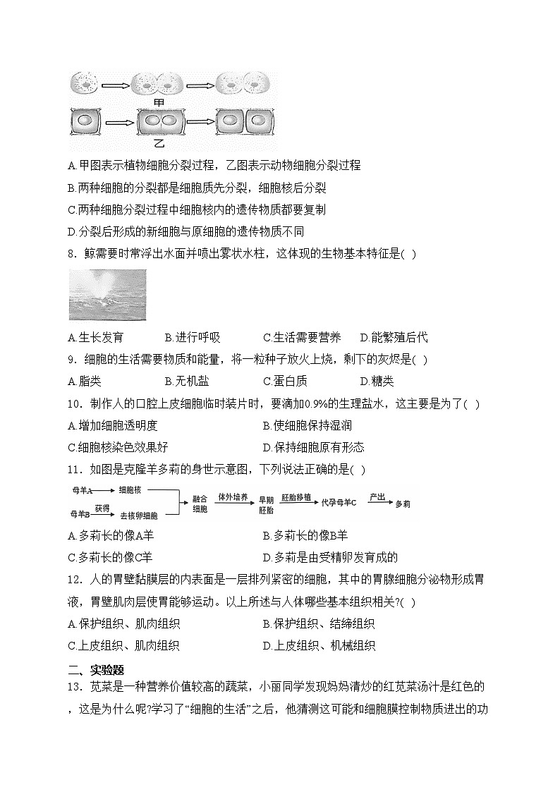 辽宁省大连市瓦房店市2024-2025学年七年级上学期10月月考生物试卷(含答案)02
