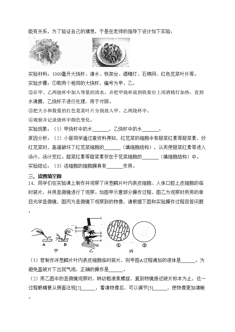 辽宁省大连市瓦房店市2024-2025学年七年级上学期10月月考生物试卷(含答案)03