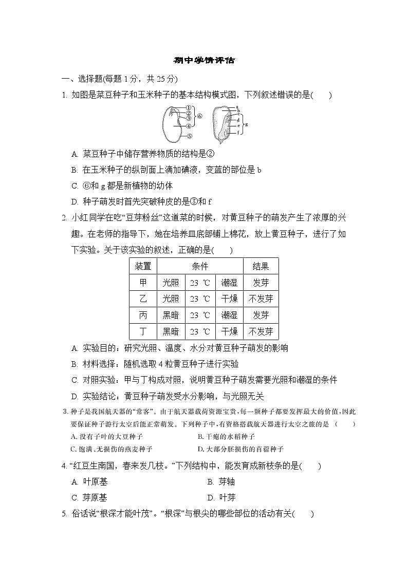 冀少版八年级生物上册期中学情评估检测含答案第1页