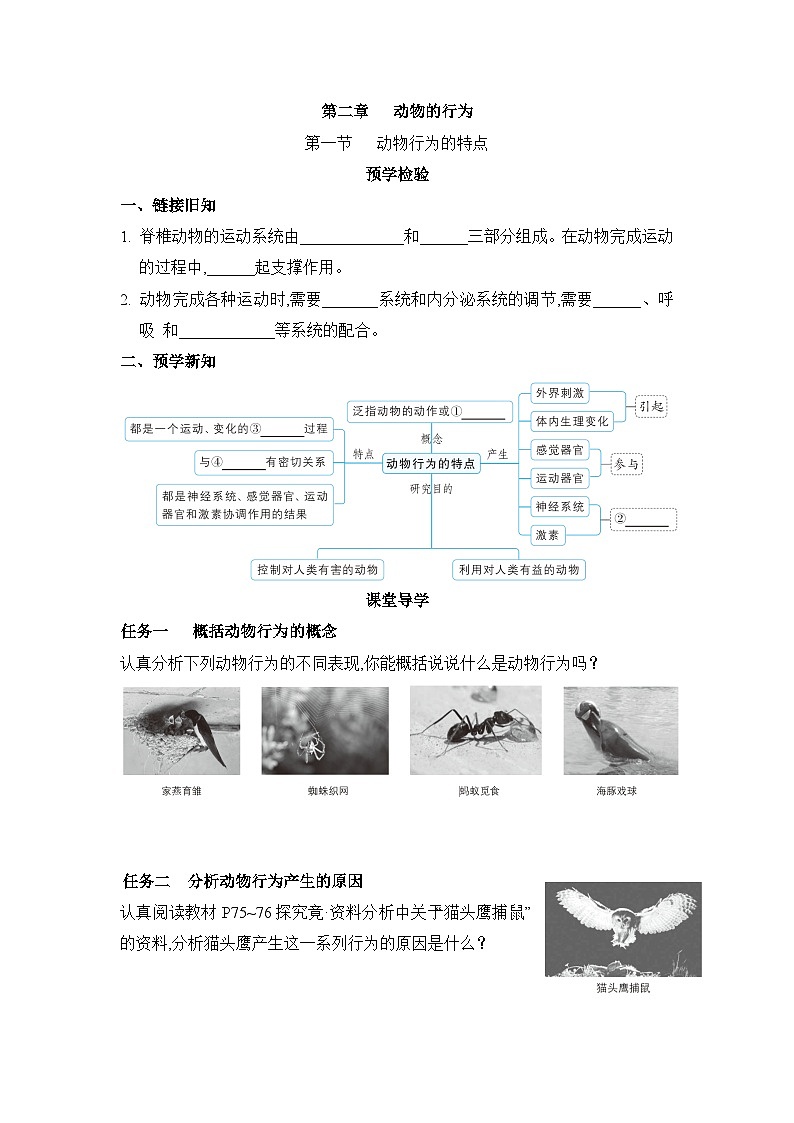 冀少版八年级生物上册第二章动物的行为导学案01