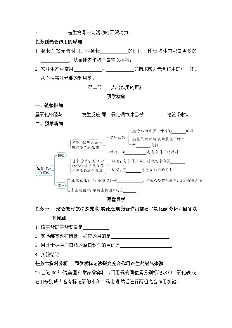 冀少版八年级生物上册第三章叶的光合作用导学案第3页
