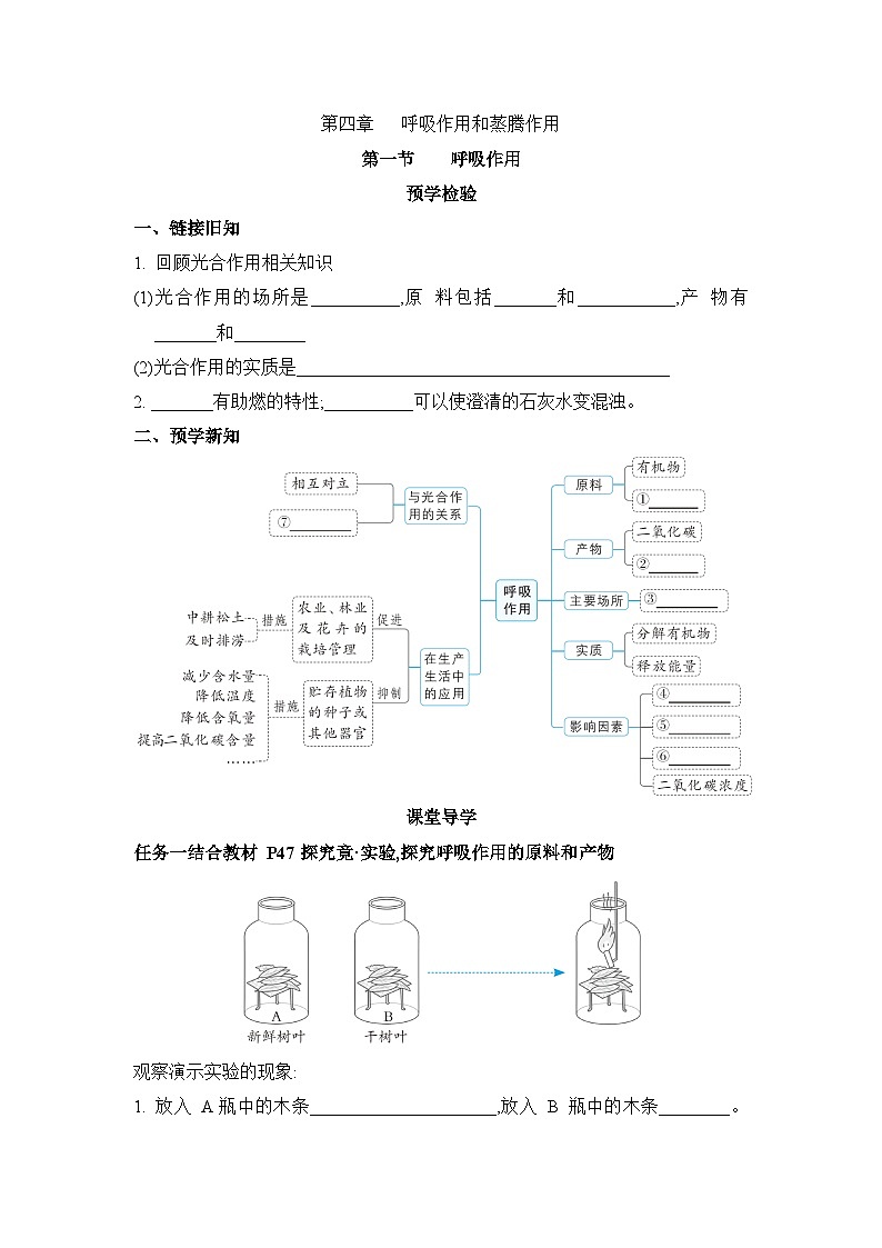 冀少版八年级生物上册第四章呼吸作用和蒸腾作用导学案第1页