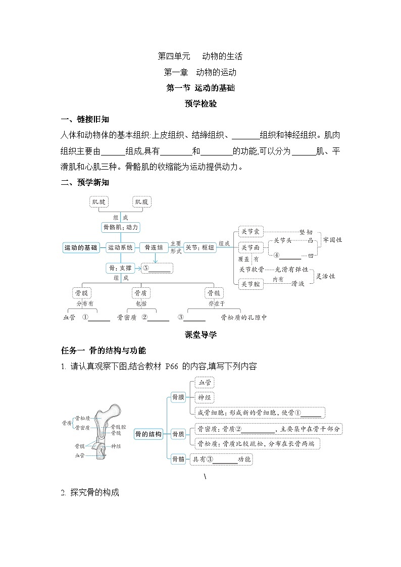 冀少版八年级生物上册第一章动物的运动导学案第1页