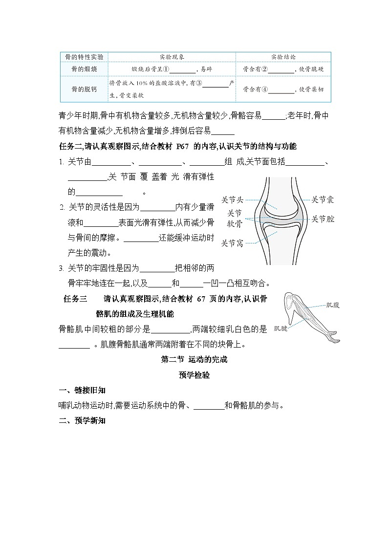 冀少版八年级生物上册第一章动物的运动导学案第2页