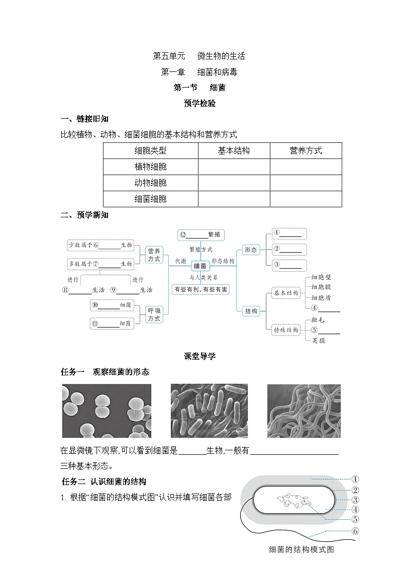 冀少版八年级生物上册第一章细菌和病毒导学案第1页