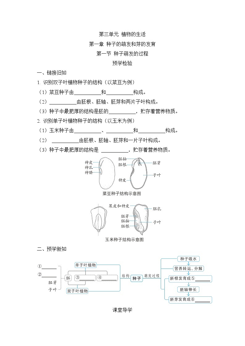 冀少版八年级生物上册第一章种子的萌发和芽的发育导学案01