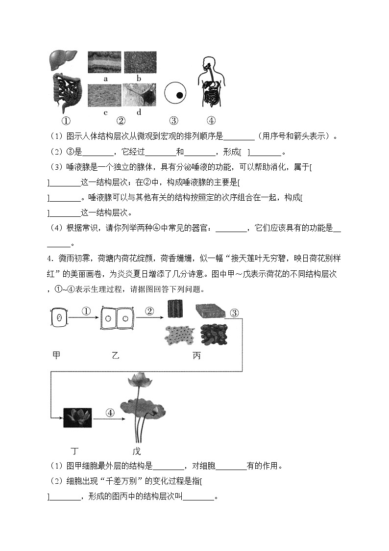 第2章 生物体的组成——生物苏教版（2024）七年级上册大题通关练(含答案)02