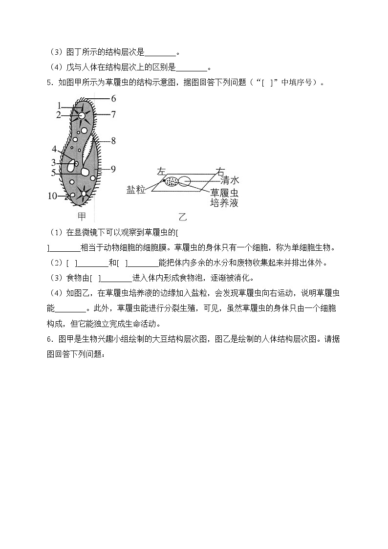 第2章 生物体的组成——生物苏教版（2024）七年级上册大题通关练(含答案)03