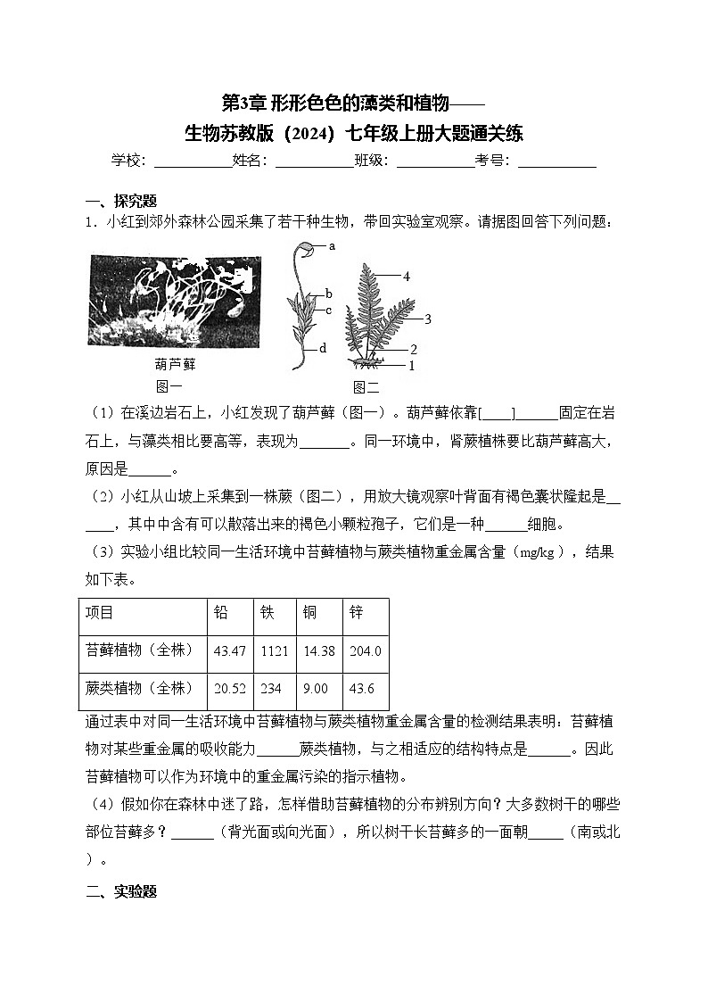 第3章 形形色色的藻类和植物——生物苏教版（2024）七年级上册大题通关练(含答案)第1页