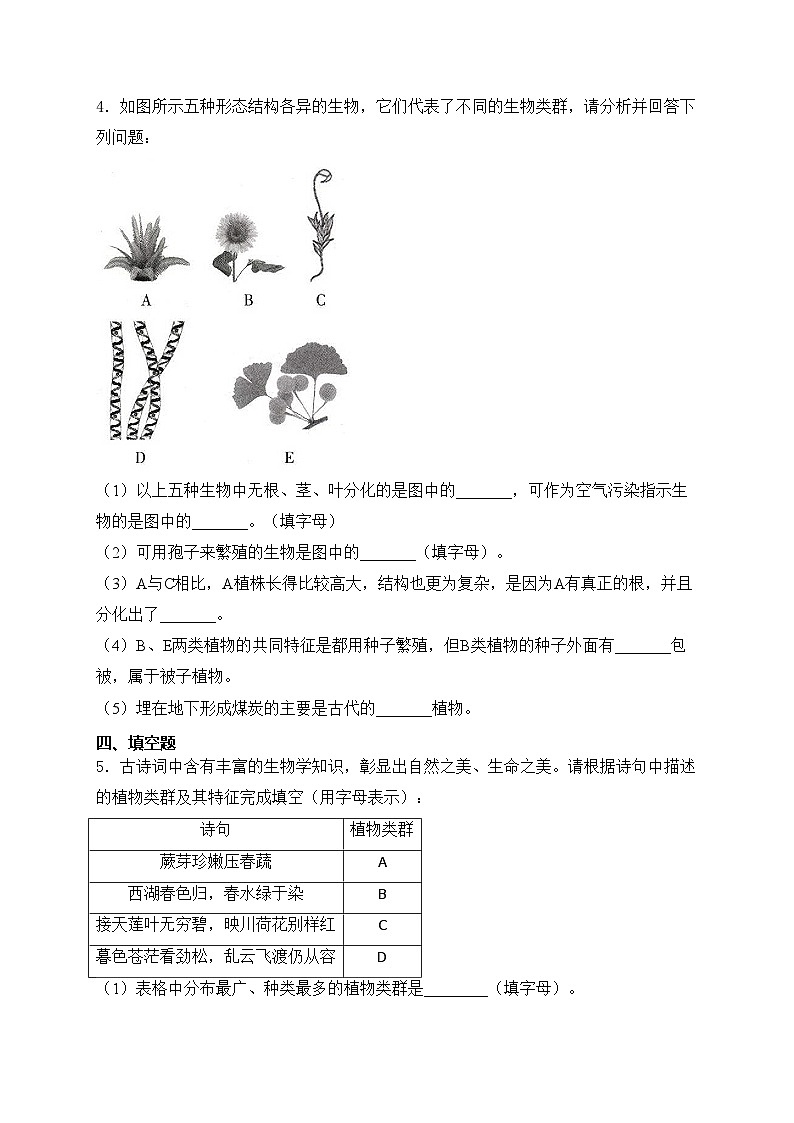 第3章 形形色色的藻类和植物——生物苏教版（2024）七年级上册大题通关练(含答案)第3页