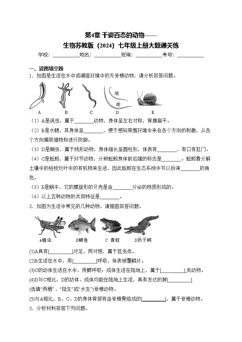 第4章 千姿百态的动物——生物苏教版（2024）七年级上册大题通关练(含答案)第1页