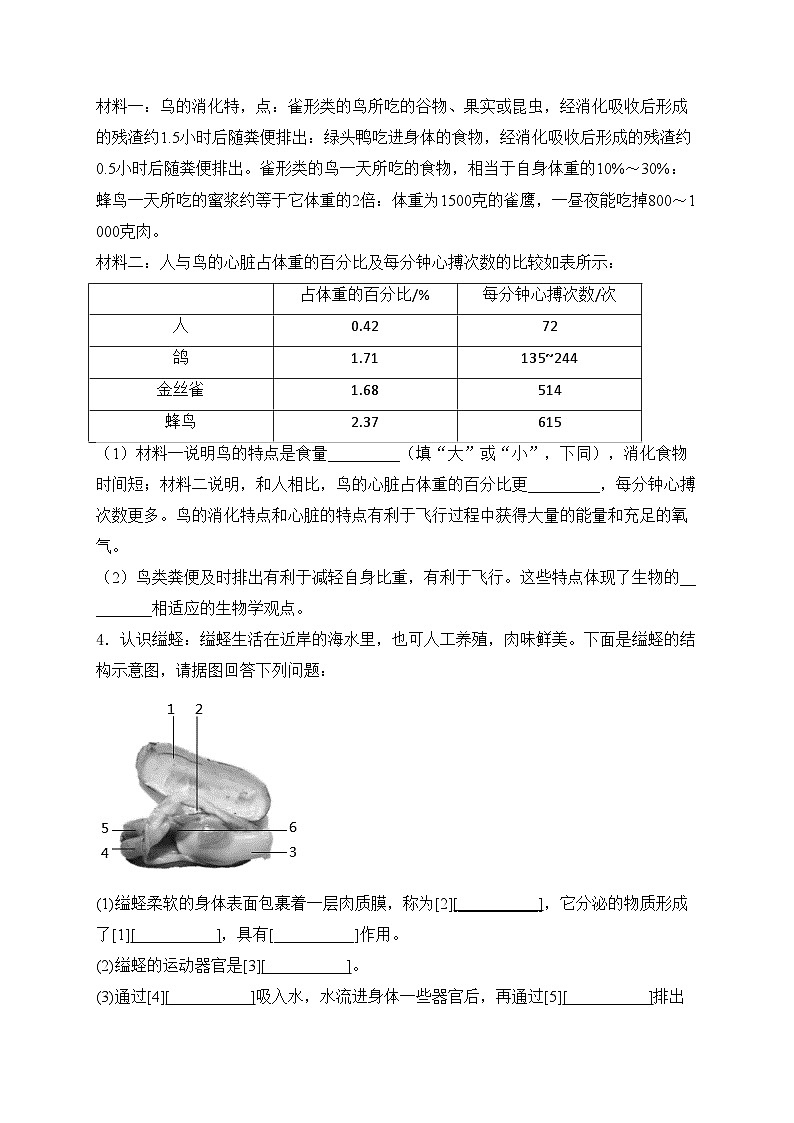 第4章 千姿百态的动物——生物苏教版（2024）七年级上册大题通关练(含答案)第2页