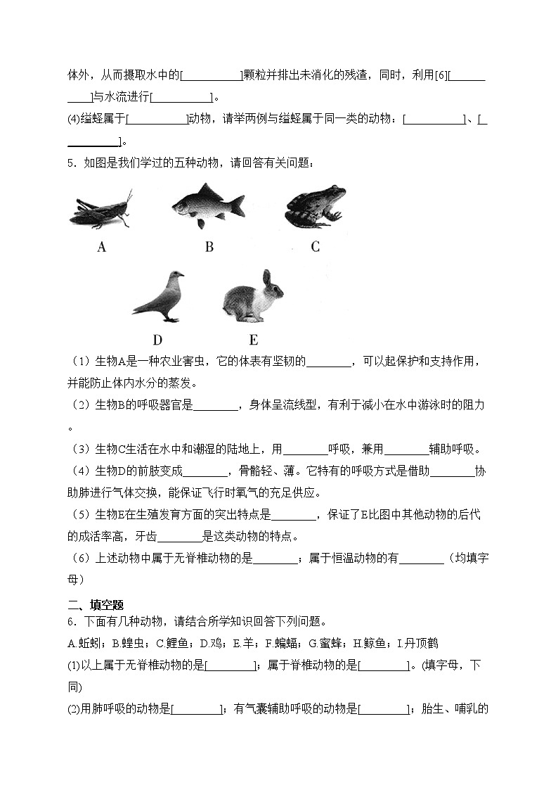 第4章 千姿百态的动物——生物苏教版（2024）七年级上册大题通关练(含答案)第3页