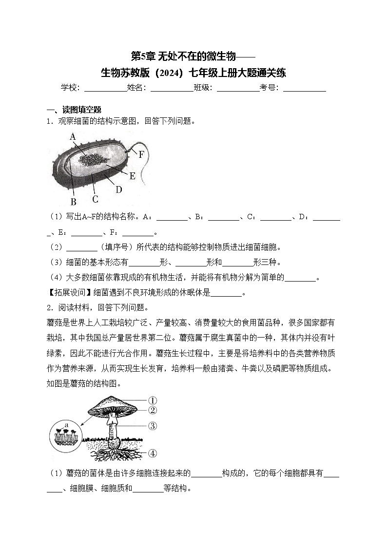 第5章 无处不在的微生物——生物苏教版（2024）七年级上册大题通关练(含答案)01