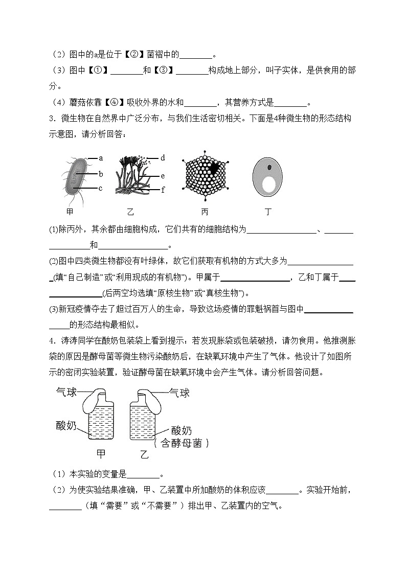 第5章 无处不在的微生物——生物苏教版（2024）七年级上册大题通关练(含答案)02