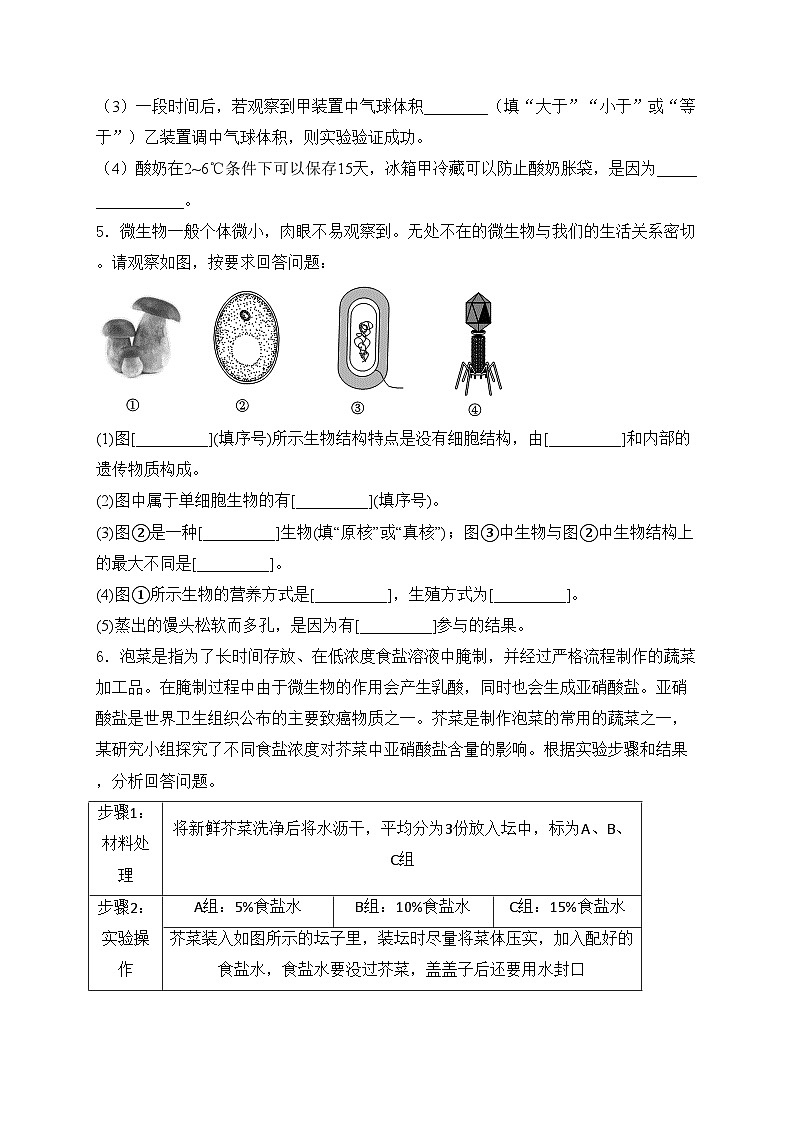 第5章 无处不在的微生物——生物苏教版（2024）七年级上册大题通关练(含答案)03